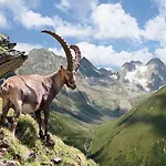 Haus Alpenrose Pitztal-sommercard-partner * Sankt Leonhard im Pitztal