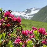 Haus Alpenrose Pitztal-sommercard-partner *