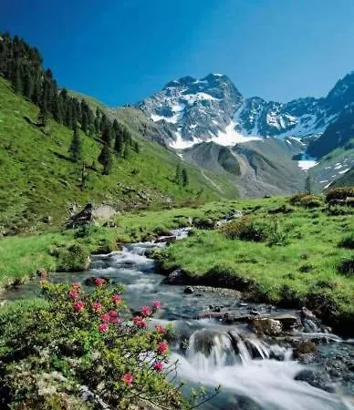 Apartamento Haus Alpenrose Pitztal-sommercard-partner *