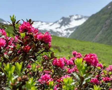 Haus Alpenrose Pitztal-sommercard-partner *