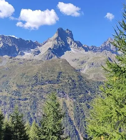 Apartamento Haus Alpenrose Pitztal-sommercard-partner *