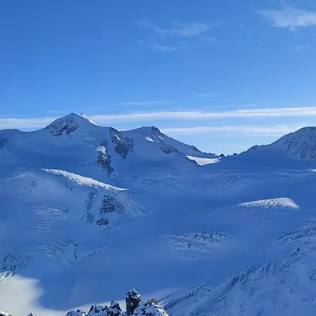 Apartamento Haus Alpenrose Pitztal-sommercard-partner *