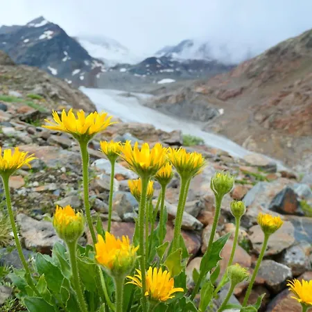 Haus Alpenrose Pitztal-sommercard-partner * Sankt Leonhard im Pitztal